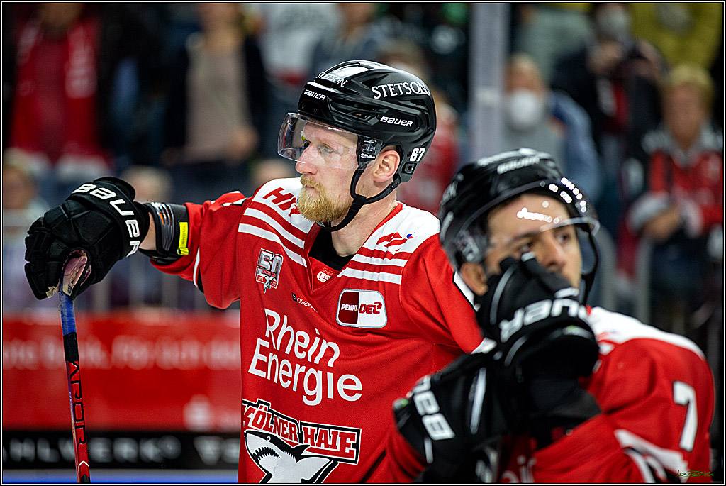 PENNY DEL; Koelner Haie- Grizzly Wolfsburg; Koeln, 26.10.2022